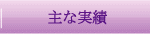 主な実績
